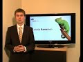 Lokata Kameleon Lokata Kameleon