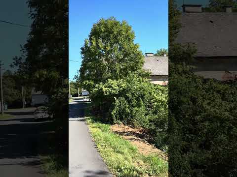 Video Nabízím ke koupi dům k rekonstrukci v obci Hynčina