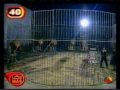 videos de Nieves Herrero y Ángel Cristo con los leones