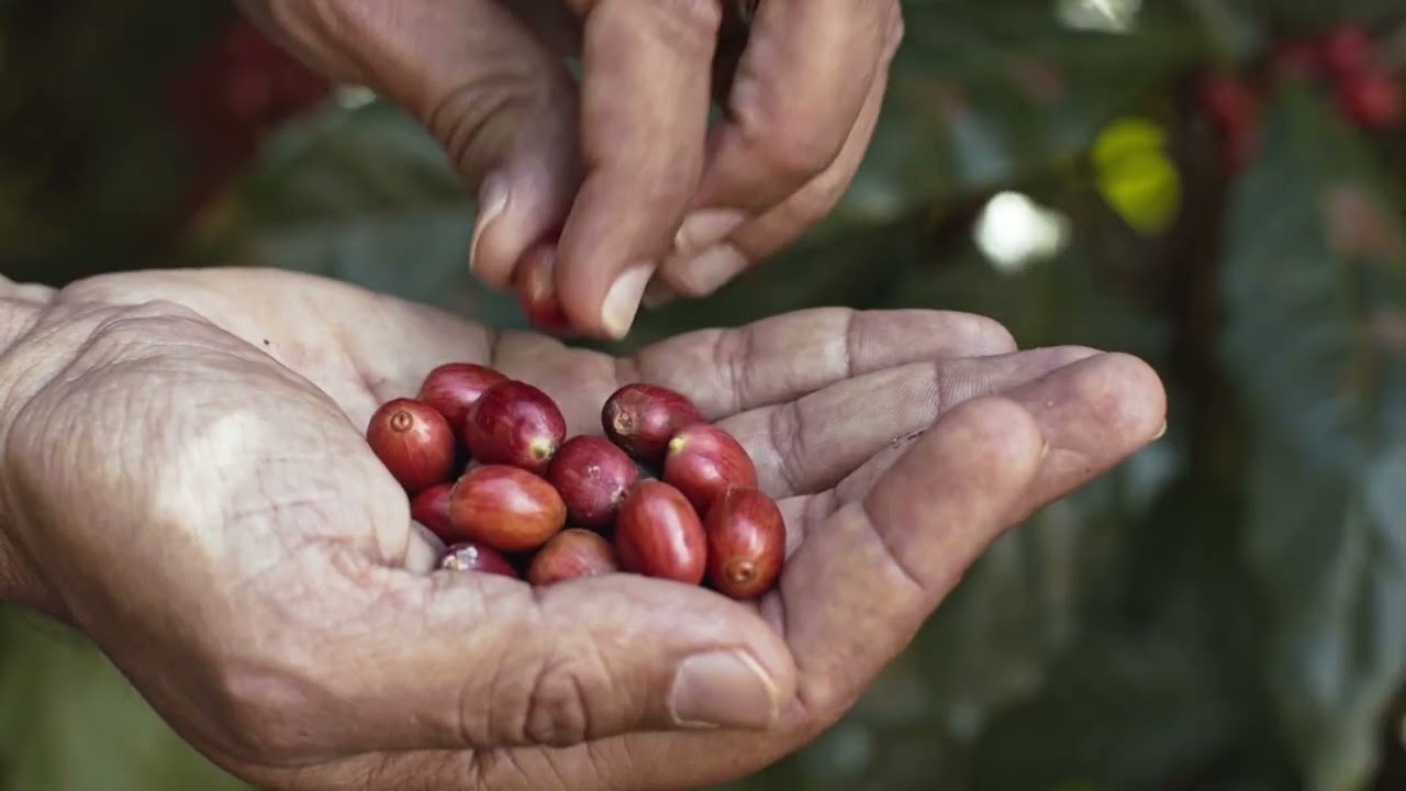 Resumo da Semana | Lula se reúne pela primeira vez com os presidentes eleitos da Câmara e do Senado