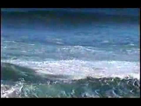 Image de prévisualisation YouTube