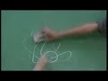 Derecho de expresi�n