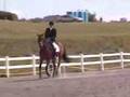 Lora VHT 2006 - Dressage