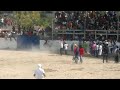 LA CAIDA DE LA POLLITA PENDON DE ZUMPANGO DEL RIO GRO 2012