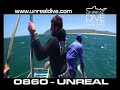 Great White Shark Viewing in Gansbaai - Summer 2007