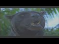 Alamodome Panther