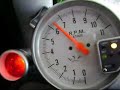 Taco LYF!