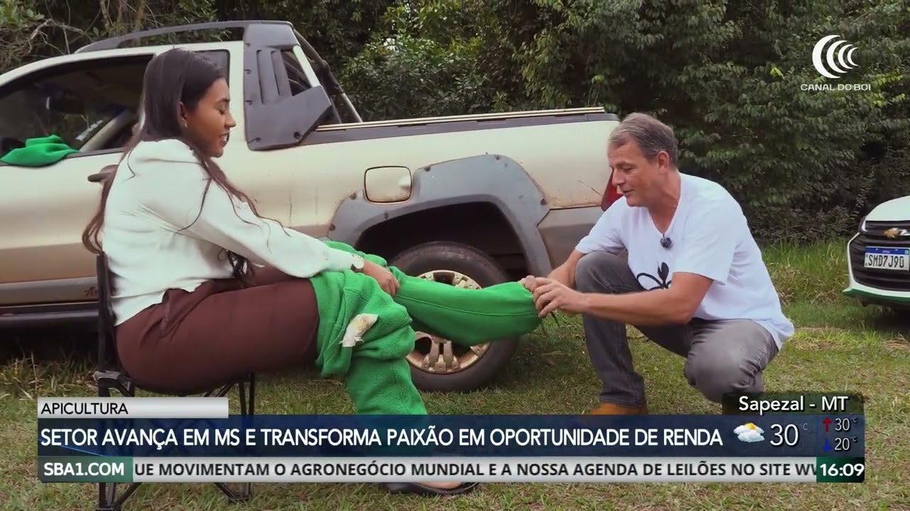 Abelhas são responsáveis por 85% da produção de alimentos no mundo