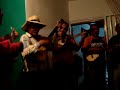 tamunangue venezuela golpe curarigueño