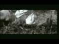 videos de Zeca Baleiro - Bandeira