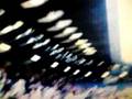 videos de Luton fans away at Bury, full time whistle.