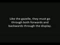 Knickerbocker Pictures - The Da Downtime Code