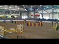 Windfield CBF Country Heir in Lexington - Aaron Vale