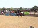 western lawns 27.6.08 1m 3ft3 bobby dazzler and caragh sj