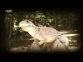 RTL Travel Adrenaline - Madagascar (2/2) RTL Travel Adrenaline - Madagascar (2/2)