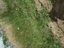 Huichapan Zipline