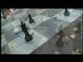 CHESS TIME - LIVE (Bozen) 2007 Stefano Cagol