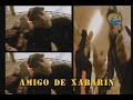Capitán Araña