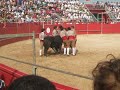 Forcados Amadores da Chamusca 2008