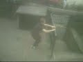 ped first freerunning prieview sampler not finised