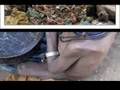 SUFFARASION a weh wi no -BY PHEONIXX THE OFFICIAL VIDEO
