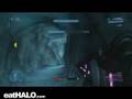 4 No Scopes