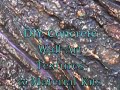 Wall Stones & Bronze Wall Stone for DIY Wall Textures