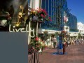 Visitors Guide to Bournemouth & Poole
