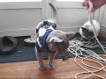 F�rsta sn�upplevelsen