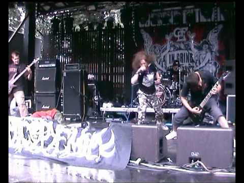 Youtube Video GXzQCKfgpVM