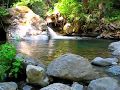 videos de Big Sur Wilderness Experience