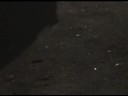 paranormal phenomena