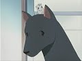 Shigure\