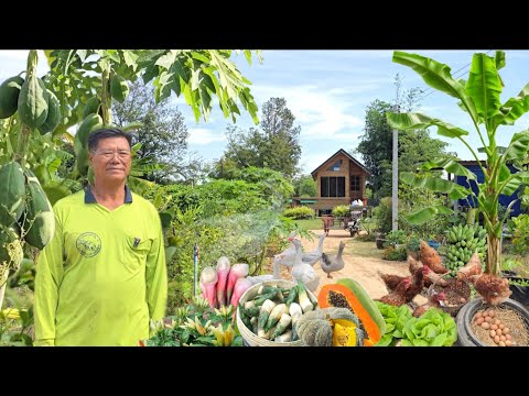 เนรมิตรบ้านสวนในฝัน ทำสวนผสมผสานมีทุกอย่างครบวงจร มีความสุขใจในบั้นปลายชีวิต