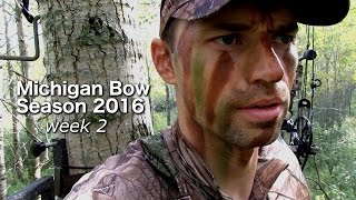 Michigan Archery 2016: week 2