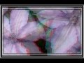 3D Anaglyph Photography by Bud Evans