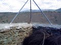 Perdiz en Santiago de Alcantara (Caceres)