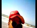 videos de Voa passarinho de Unamar