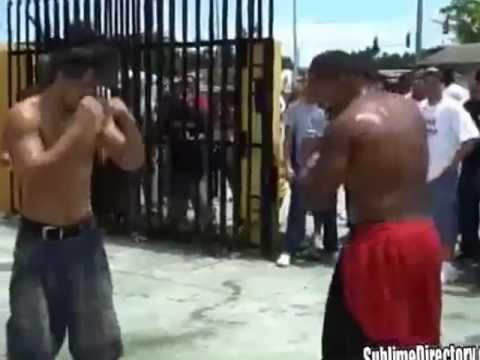 Ray Vs Jose Jorge Kimbo fight