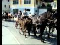 Sarbatoare in Wurmlach (Austria).25 aprilie 2010 - videoclip