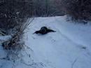 USFK SLEEDING