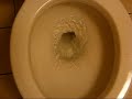 The Broken Toilet