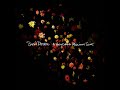 what if the storm ends- snow patrol