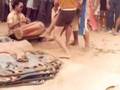 Surinam  1977  Part 3 of 4