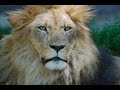 haile selassie war speech