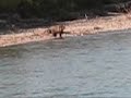 Rafting with pontoons on the Morice River