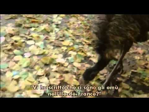 Movie - Sans Soleil / Sunless (Chris Marker, 1983)