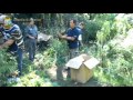 Guarda video