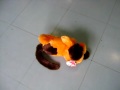 MOV03573