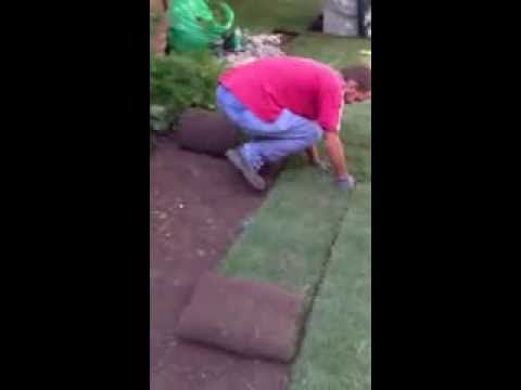 Progettazione giardino e spazi esterni - Roma, Luglio 2013
